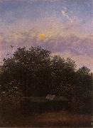 Carl Gustav Carus Blooming Elderberry Hedge in the Moonlight painting